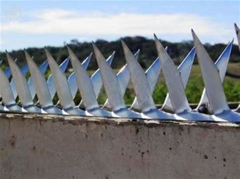spikes for bottom of fence.